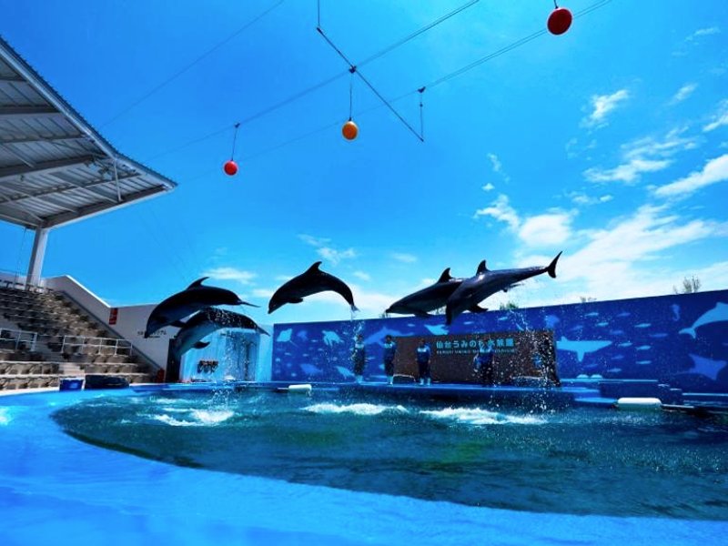 バリュー・ザ・ホテル東松島 矢本 (Value The Hotel Higashimatsushima Yamoto)の写真