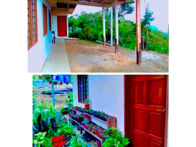 ［カンポン ボンガリウ］一軒家（1200m²）｜ 4ベッドルーム／4バスルーム (WILL HOMESTAY KUNDASANG)の写真