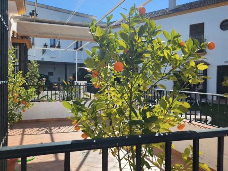 ハシェンダ オロンティジ ホテル  (Hacienda Olontigi Hotel)の写真