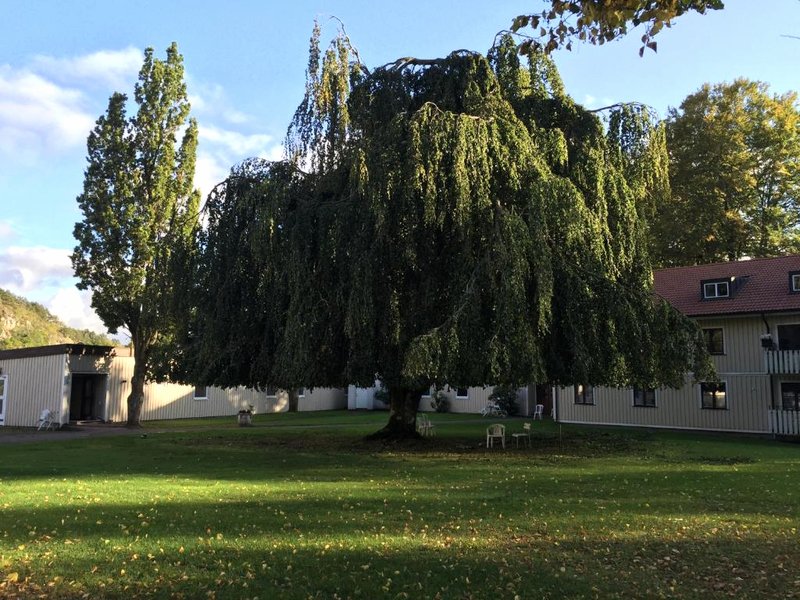 Åtorps herrgård (Atorps herrgard)の写真