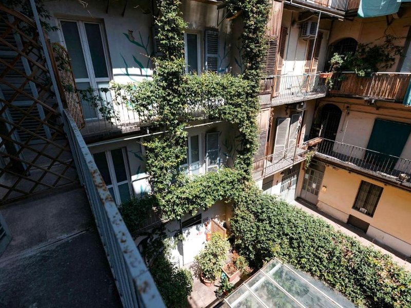 トマト バックパッカーズ ホテル (Tomato Backpackers Hotel)の写真
