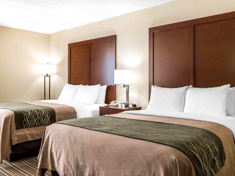 コンフォート イン ポコノ マウンテンズ (Comfort Inn - Pocono Mountains)の写真