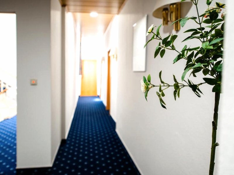Hotel Frankischer Hofの写真