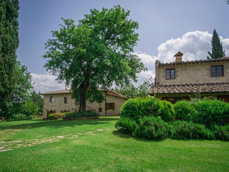 Poggio Al Palioの写真