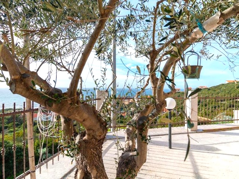 La Rosa dei Venti-Villa Angela Panoramicの写真