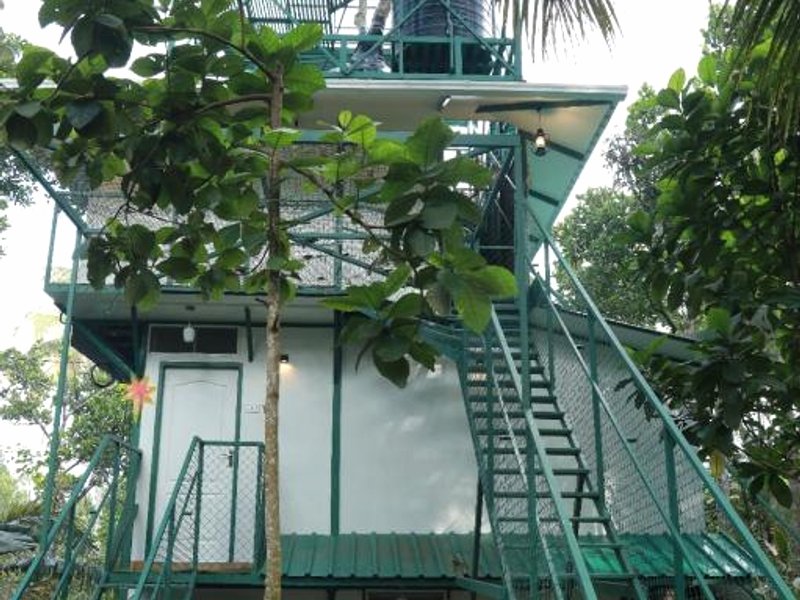 SpiceBuds TreeHouse - Idukkiの写真