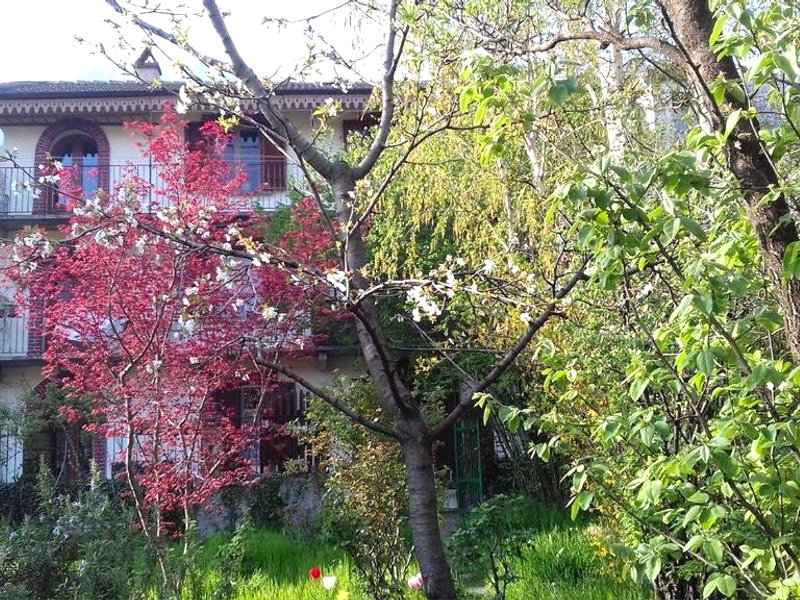 Il Giardino dei Merliの写真