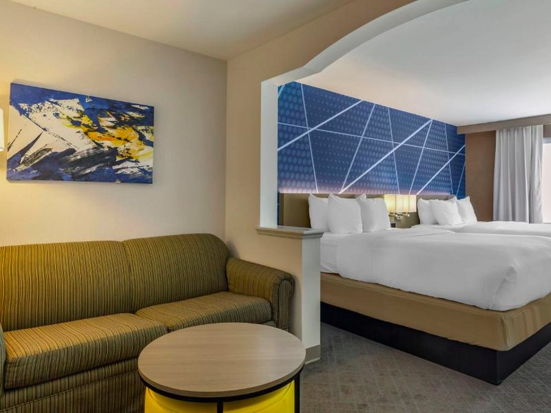 コンフォート イン ＆ スイーツ イースト グリーンブッシュ (Comfort Inn & Suites East Greenbush - Albany)の写真