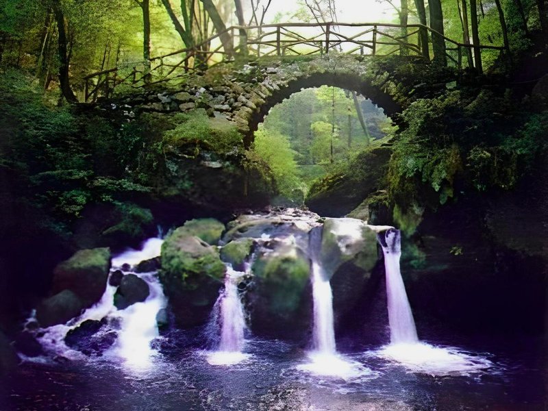 Le Pavillonの写真