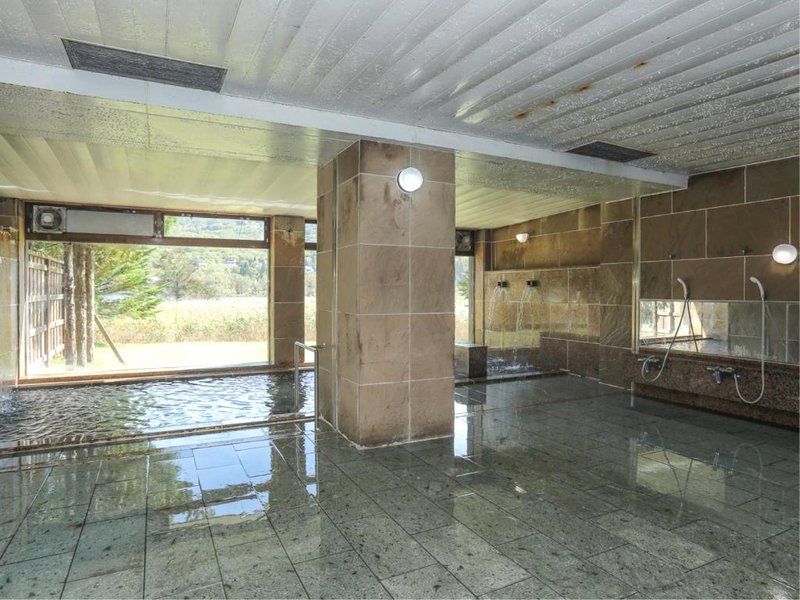 白樺湖ビューホテル (Shirakabako View Hotel)の写真