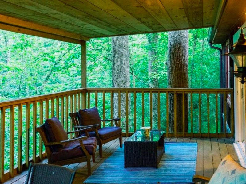 Secluded 3BR 1BA Cabin for Cozy Livingの写真
