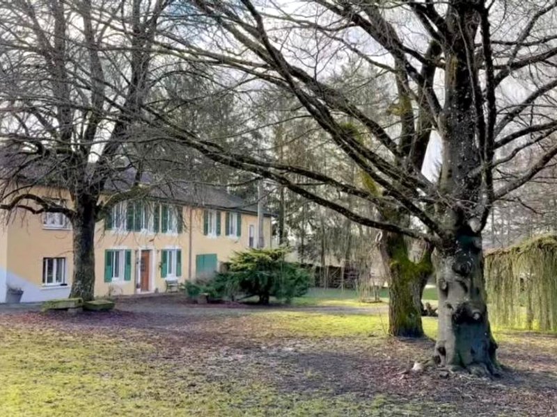 La chambre clé de la forêt (La chambre cle de la foret)の写真
