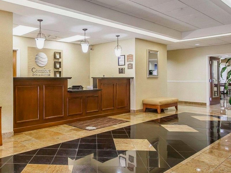 コンフォート イン&スイーツ アトカ ミリントン (Comfort Inn & Suites Atoka-Millington)の写真
