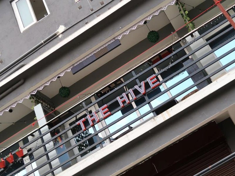 Thehivegangtokの写真