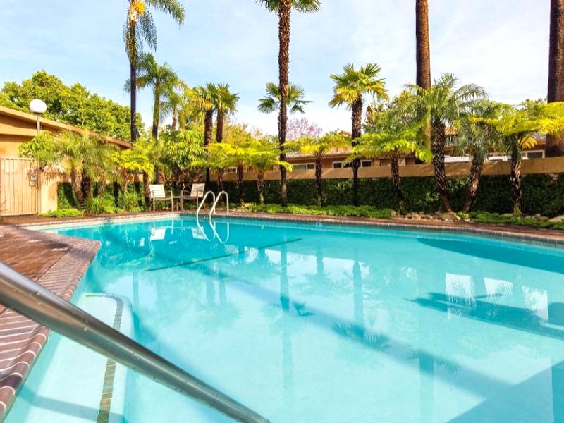ベストウェスタン パイン ツリー モーテル (Best Western Pine Tree Motel)の写真