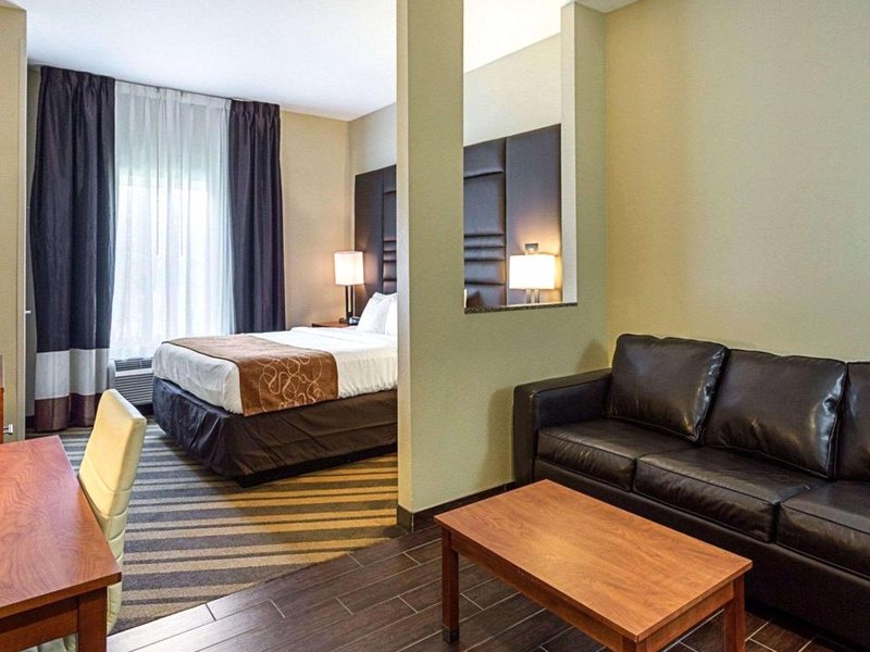 Comfort Suites near Tanger Outlet Mallの写真