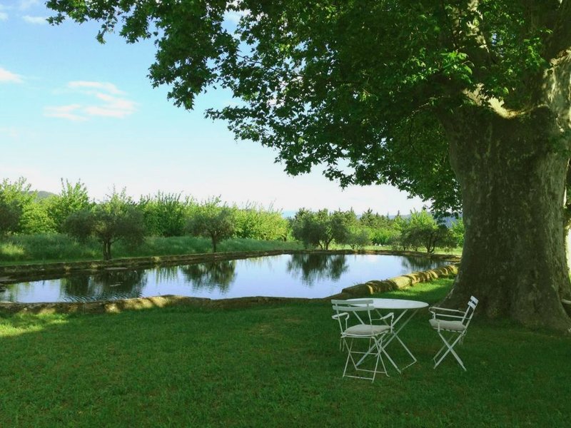 Domaine la Carraireの写真