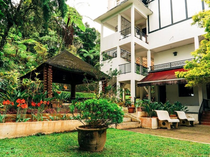 カサ デ ラ ローザ ホテル (Casa De La Rosa Hotel)の写真