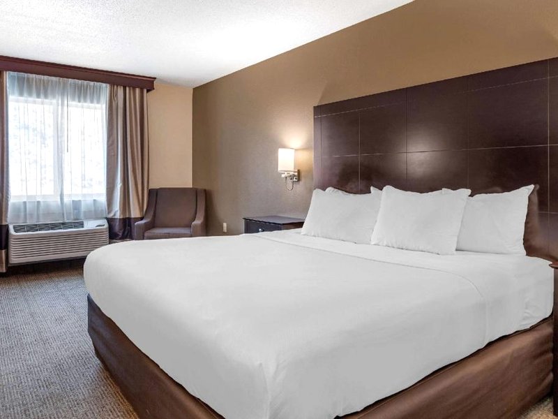 コンフォート イン&スイーツ (Comfort Inn & Suites)の写真