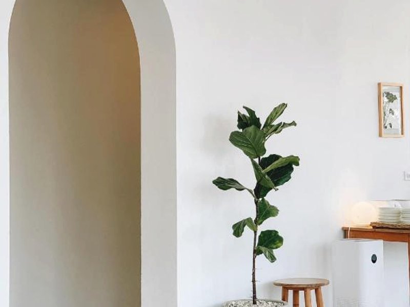 ホテル ダワ (HOTEL DAWA)の写真