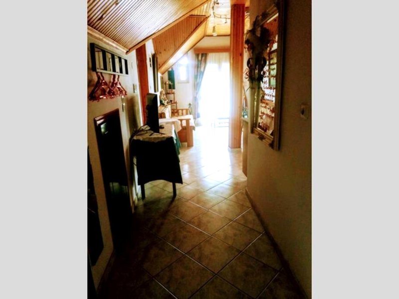 Sweet Homeの写真