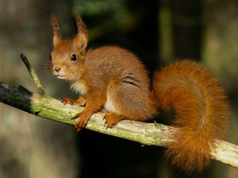 Naturnær leilighet med 1 soveromの写真