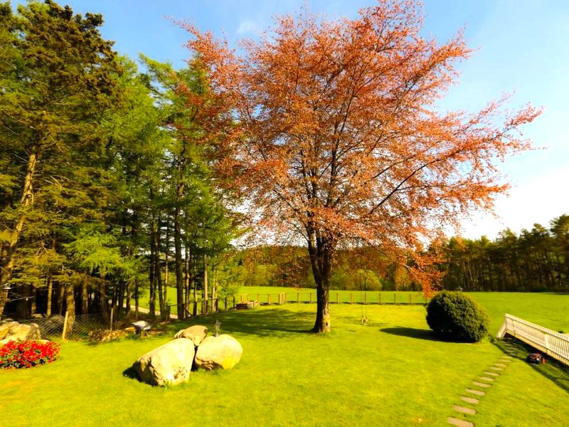 Naturnær leilighet med 1 soveromの写真