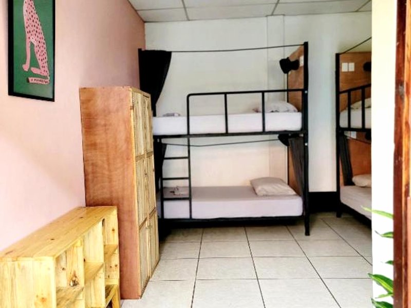 Poco a Poco Hostelの写真