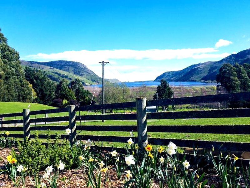 Koromiko Cottage at Lochsloy Farmstay Little Riverの写真