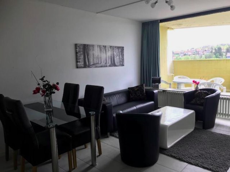 Panoramic Apartments Hohegeißの写真