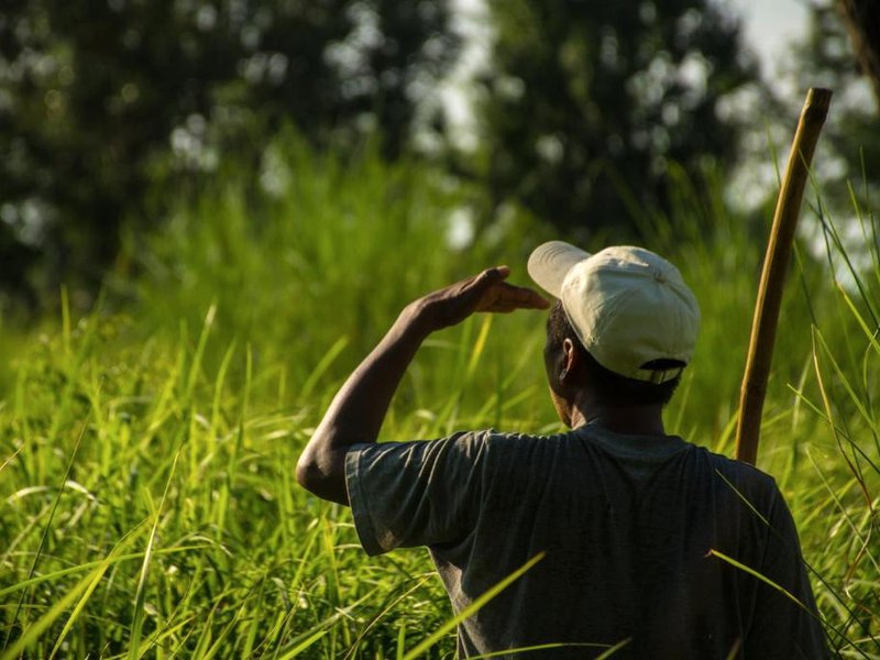 Bardiya Community Homestayの写真