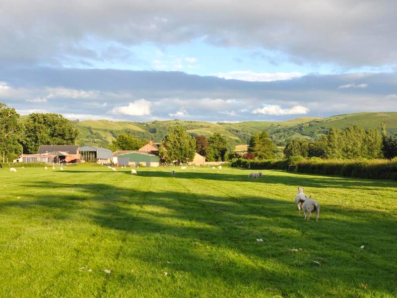 Mid Wales Arts B&Bの写真