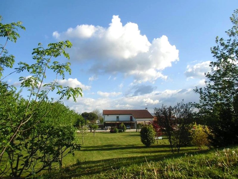 Agriturismo il Podere Vedelago con San Bernardo, Alpaca e una Pentola di cose da scoprireの写真