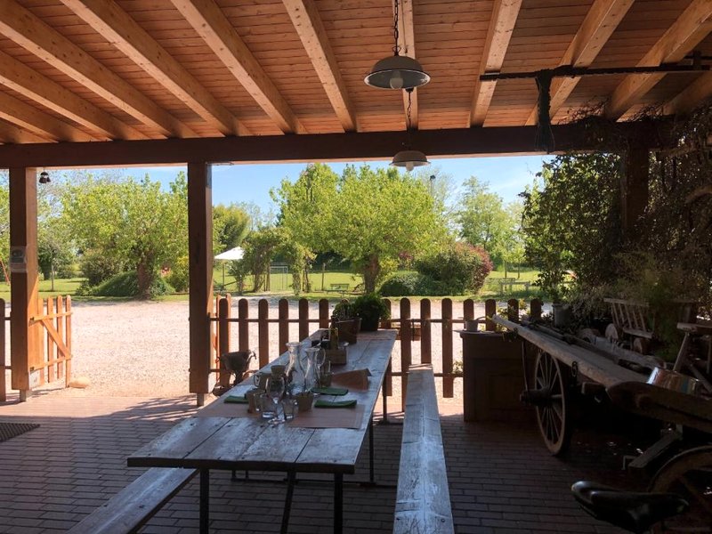 Agriturismo il Podere Vedelago con San Bernardo, Alpaca e una Pentola di cose da scoprireの写真