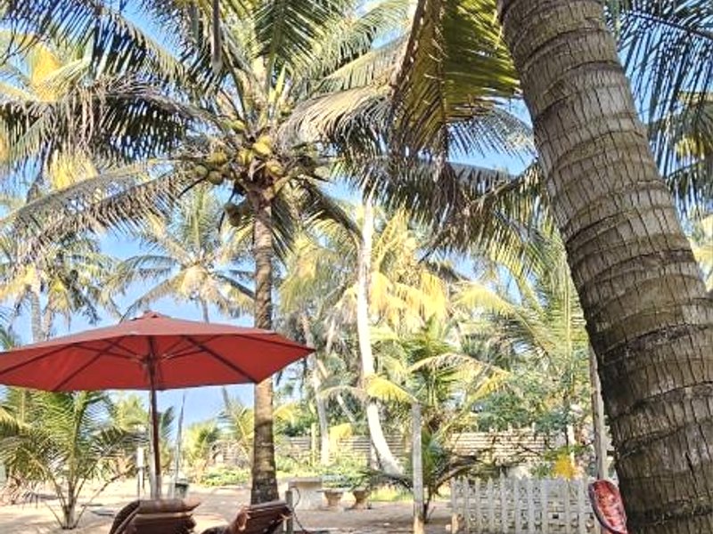 Mbeach Nestの写真