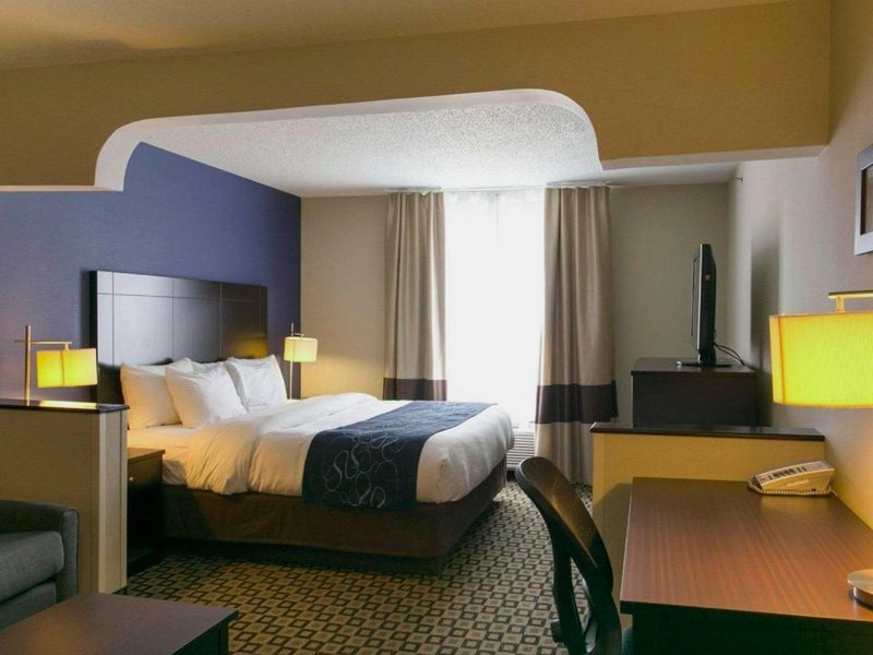 コンフォート スイーツ ベントン ハーバー セント ジョゼフ (Comfort Suites Benton Harbor - St. Joseph)の写真