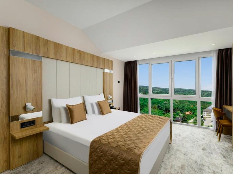 Mövenpick Resort & Spa Fruske Termeの写真