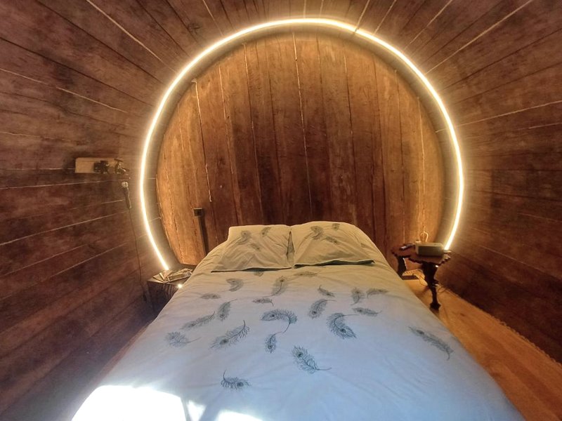 Foudres Du Chene Du Pyの写真