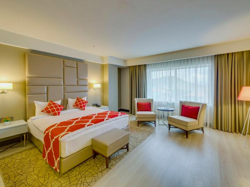 Demircioglu Park Hotelの写真