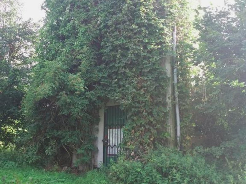 Ferienwohnung am Hochrhöner (Ferienwohnung am Hochrhoner)の写真