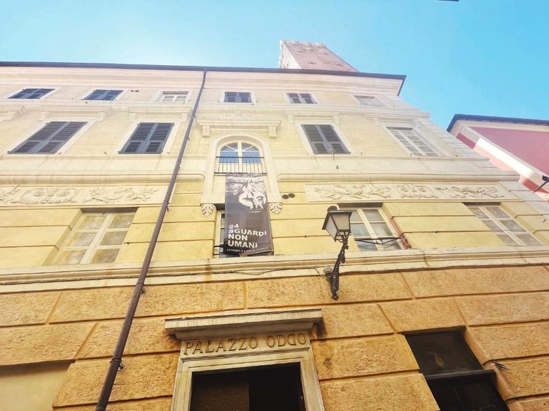 Palazzo Oddo Rental Roomsの写真