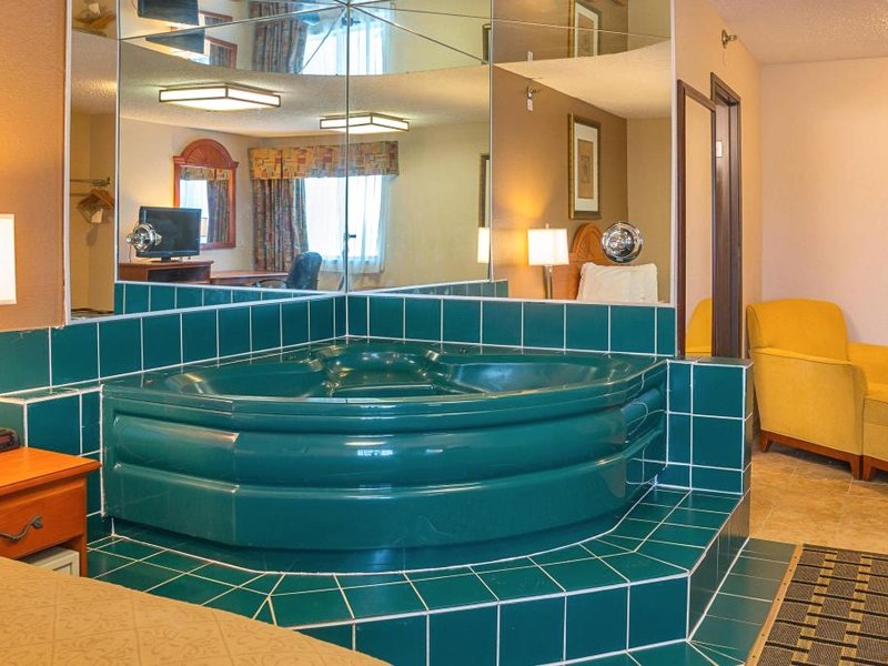 クオリティ イン & スイーツ デトロイト メトロ エアポート (Quality Inn & Suites Detroit Metro Airport)の写真