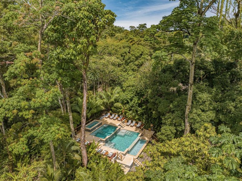Copa de Arbol Beach & Rainforest Resortの写真