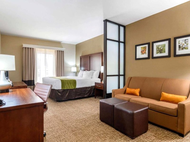 コンフォート イン&スイーツ (Comfort Inn & Suites)の写真
