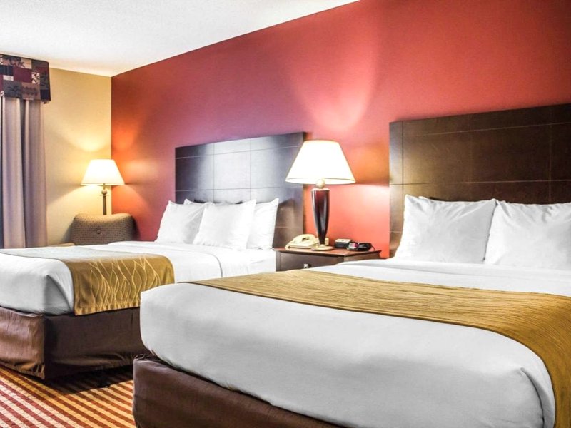 Comfort Inn & Suitesの写真