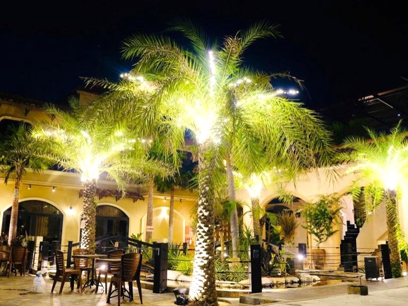 Thái Bình Cam Ranh 2 Hotelの写真