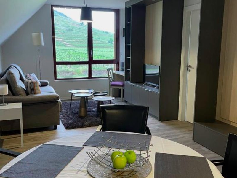 Appartements de Manon au cœur des vignesの写真