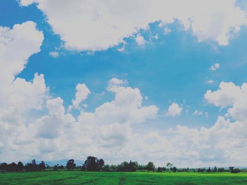 บ้านนอกเมืองรีสอร์ต BaanNokMueangの写真