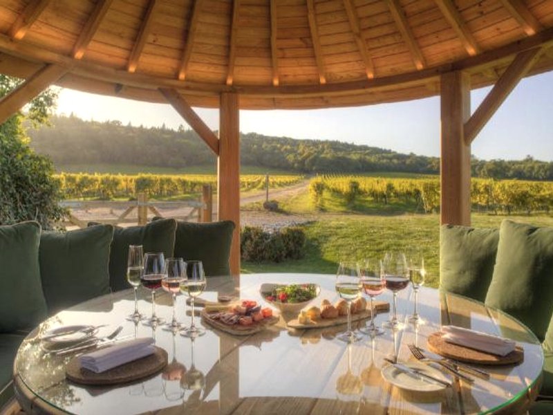 Denbies Vineyard Hotelの写真