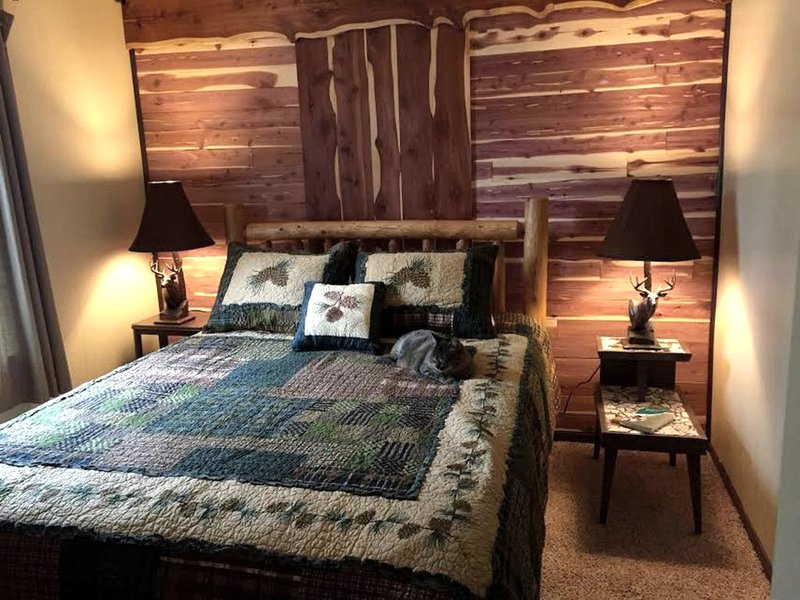 Rustic Cabin Rental on Conejos River in San Juan Wilderness, Coloradoの写真